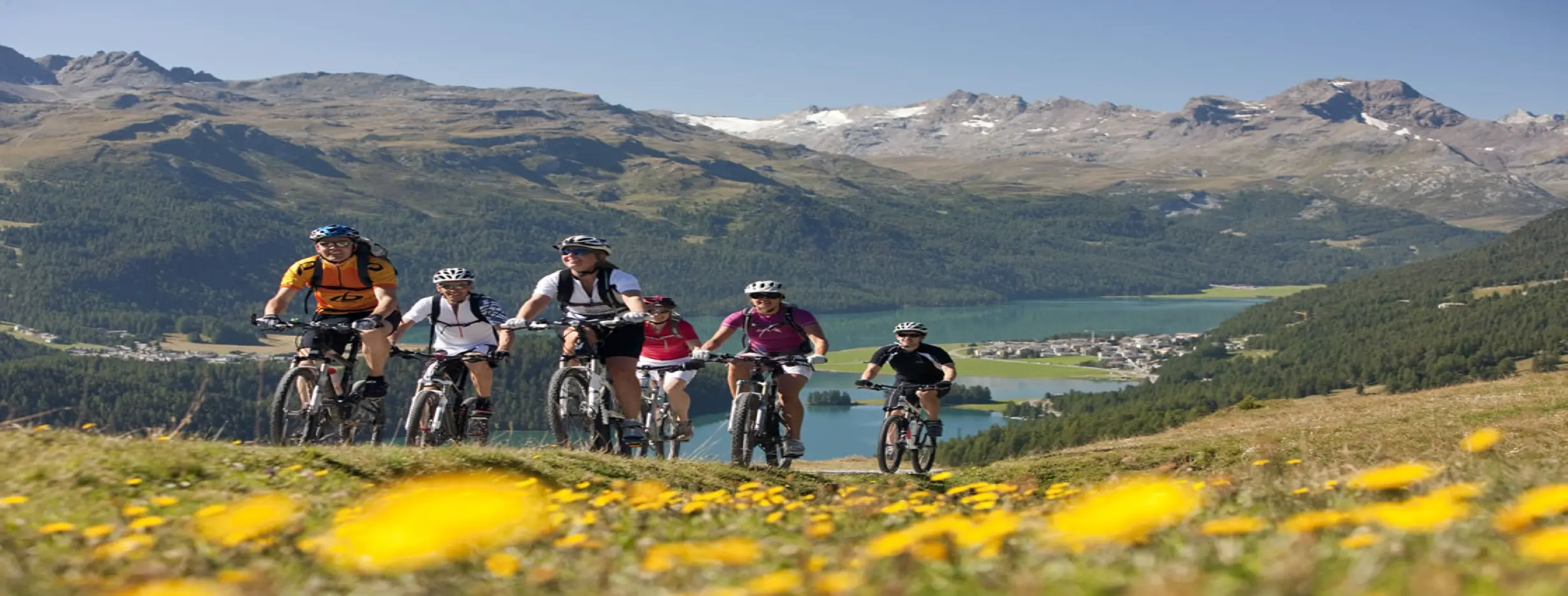 Image for Cycling Tours